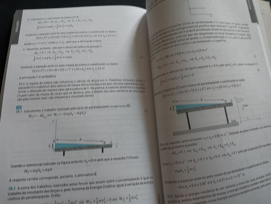 Manual de apoio de física de 10ano Raiz editora