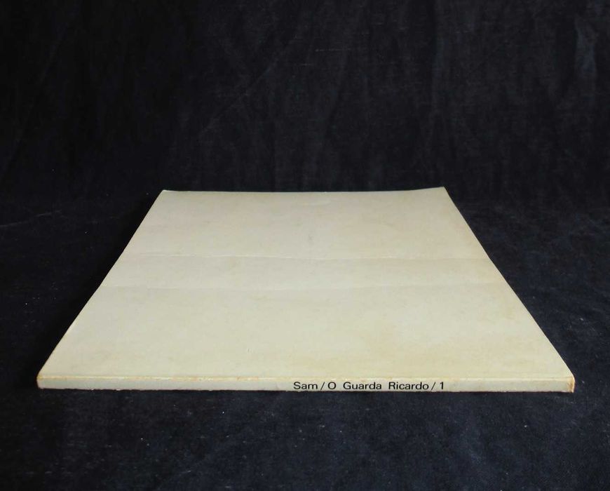 Livro O Guarda Ricardo Sam Cartoon