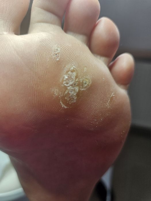 Podolog Mobilny Piaseczno I okolice