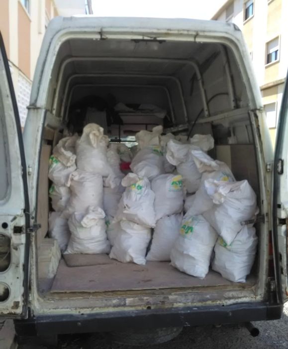 Dump Carts and Containers for Collection and Transport of All Types of Debris64552928966657122