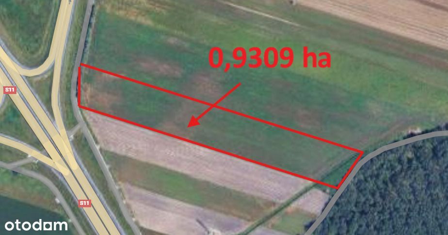 Działka rolno inwestycyjna - Widok 5