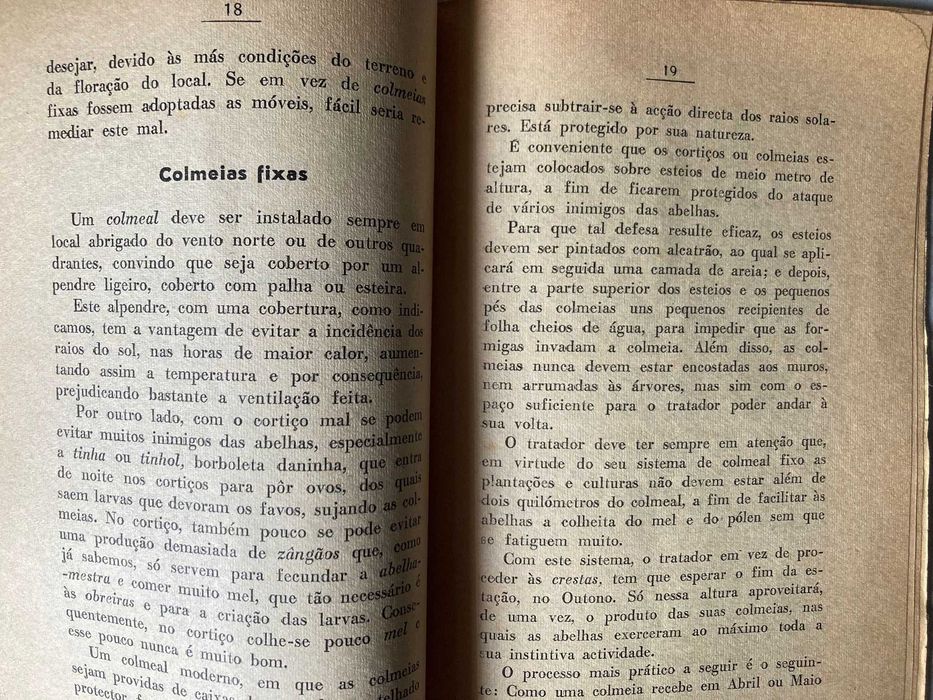 Criação de Abelhas, de Artur Nunes de Almeida (Antigo)