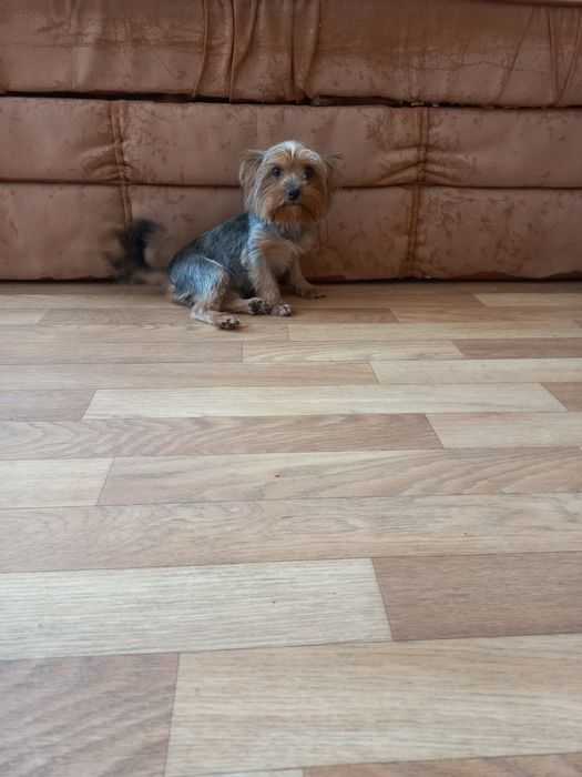 Очень милая малышка!