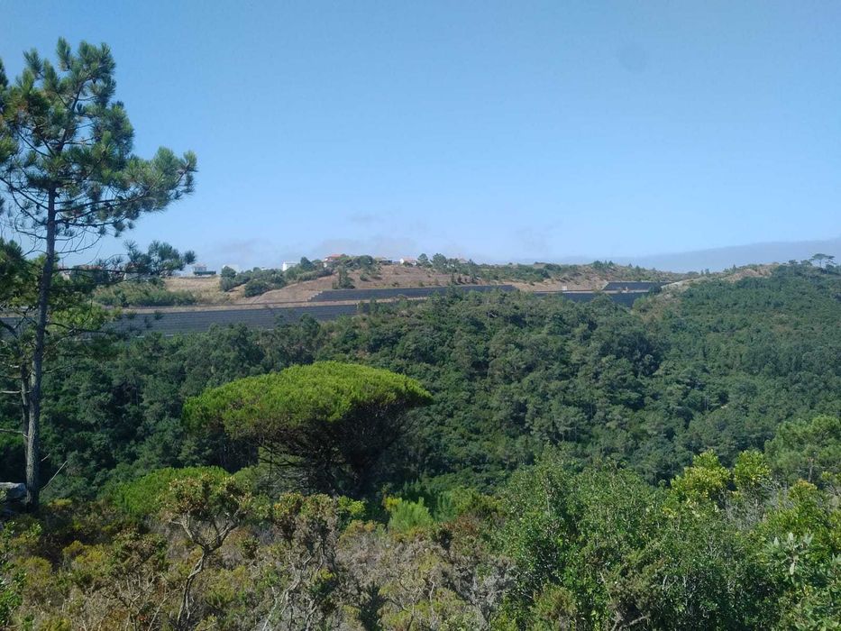 Terreno Rústico com 2.875 m² em Alto Famoes, Mafra.
