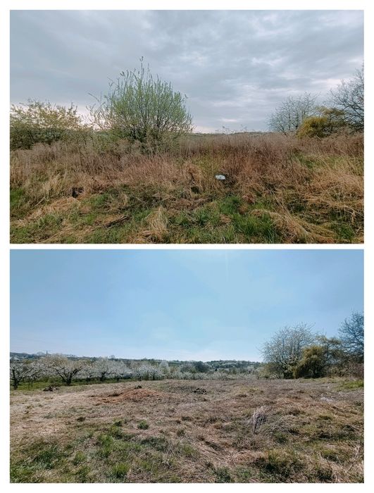 Czyszczenie działek Wycinka drzew