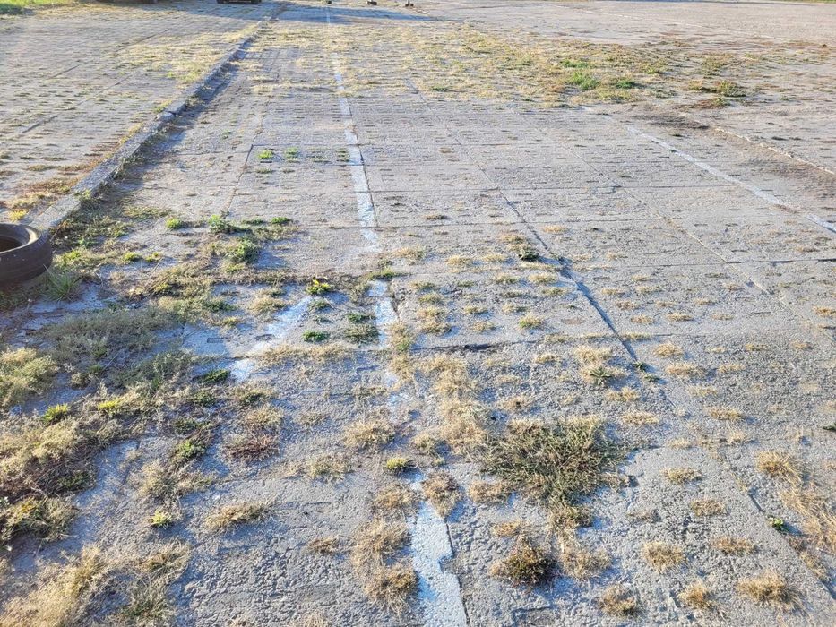 Wynajmę działkę plac utwardzony 8000 m2