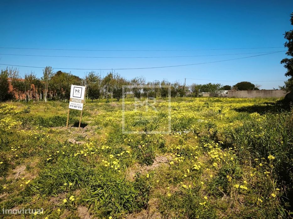 Terreno  Venda em Ouca,Vagos