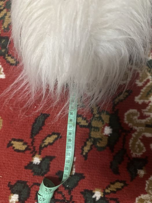 Продам мʼяку іграшку