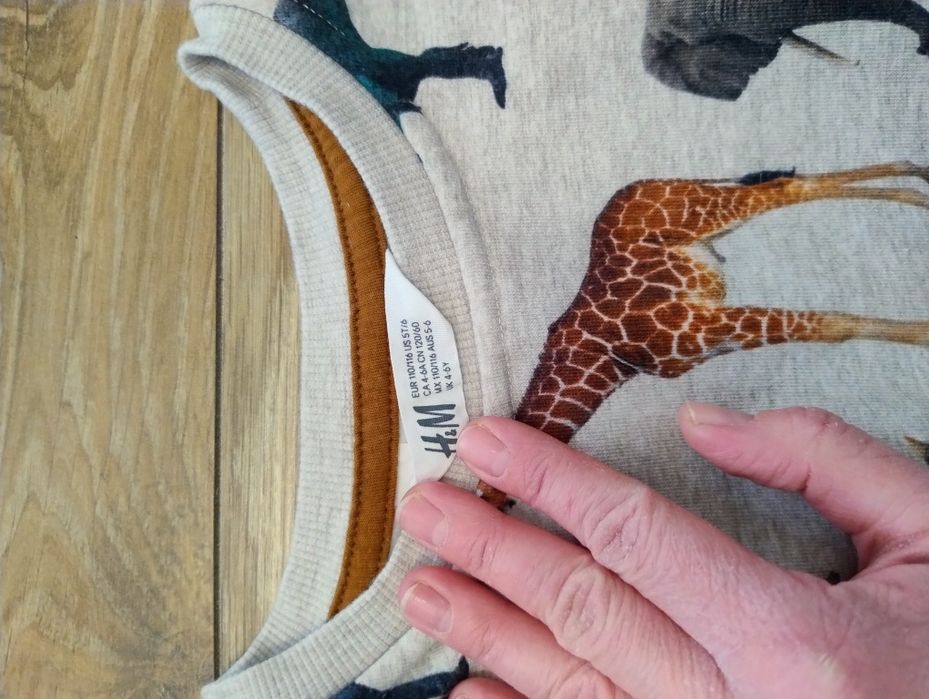 Komplet dres 110/116 HM dinozaury zwierzęta