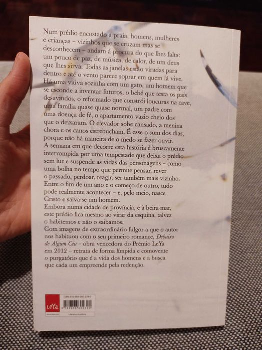 Livro Debaixo de Algum Céu