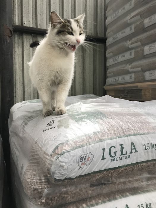 Pellet IGŁA skład Częstochowa