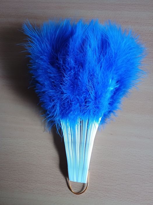 Wachlarz z piór.