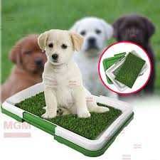 Туалет для собак и кошекPuppy Potty Pad