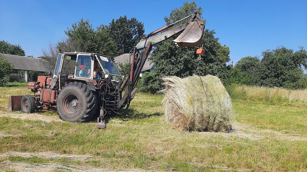 Продам сіно в рулонах