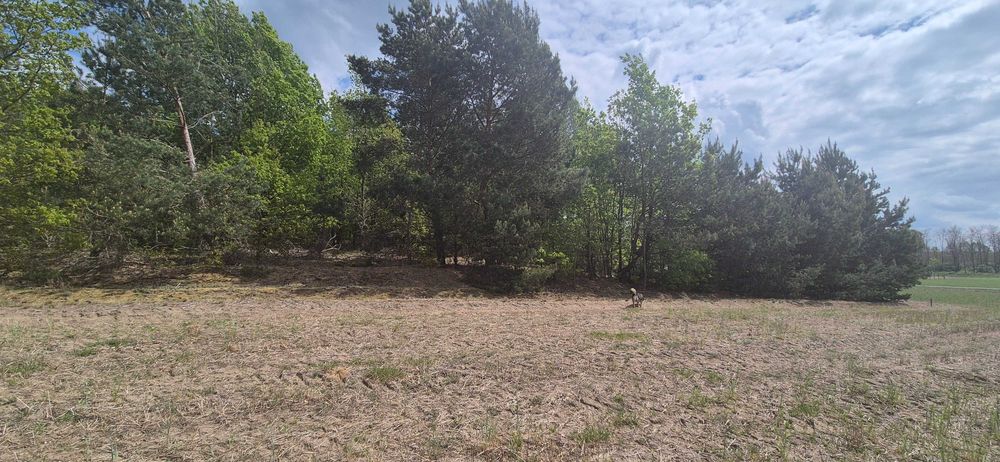 Działka budowlana 1330m2 Stary Witoszyn