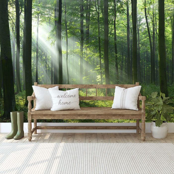 Fototapeta Las Zieleń Słońce Natura 3D Na Twój Rozmiar + KLEJ