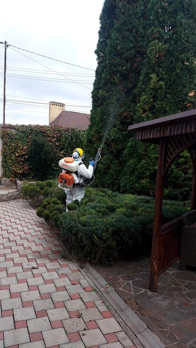 Послуги садівника. Обробка рослин від шкідників та хвороб.