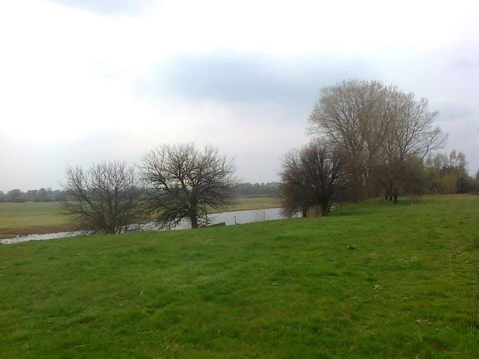 Sprzedam działkę budowlano-rolną. W pobliżu rzeka i las.