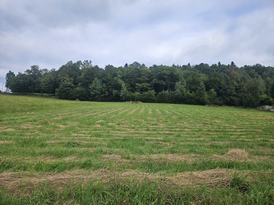 Widokowa działka budowlana z mediami na skraju lasu 10 arów