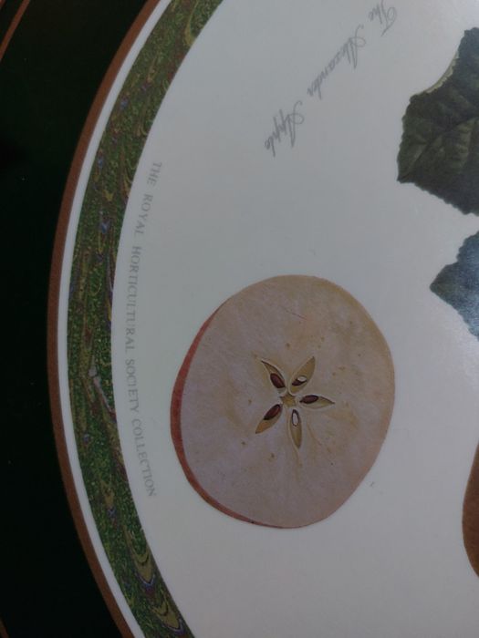 6 bases de pratos da "the royal horticultural society collection"