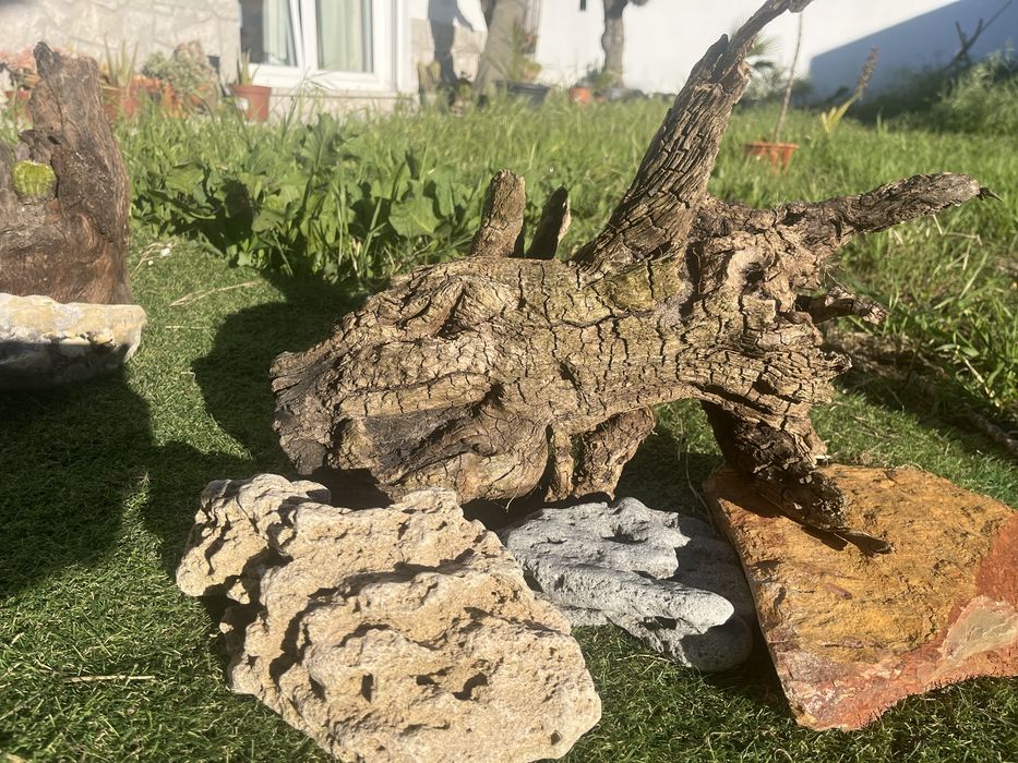 Tronco para terrario ou aquario