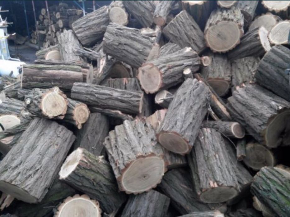 Дрова Акация, лучшая цена|от 3кубов