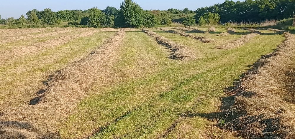 Продам сіно в тюках