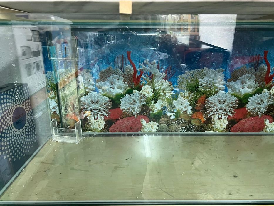 Aquário 560l + sump