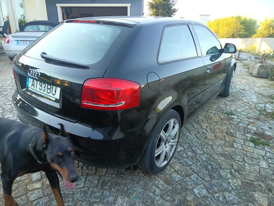 AUDI A3 Hatchback (8P1) 1.6 TDI Diesel 105 cv / 77 kW 2010 foto 4