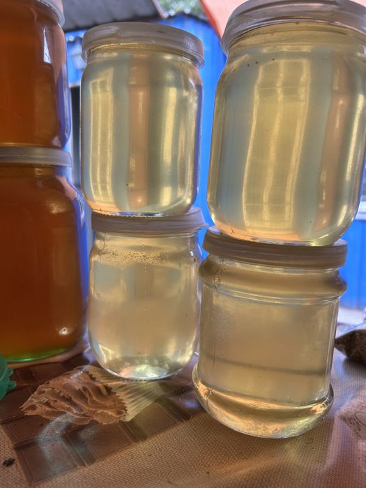 мед Акація Різнотравʼя Гречаний Липа