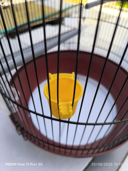 Gaiola para pássaros