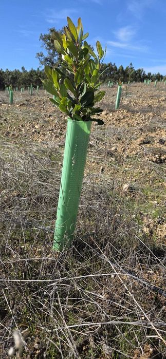 Tubo corrugado micro perfurado em polipropileno  diâmetro 10 cm