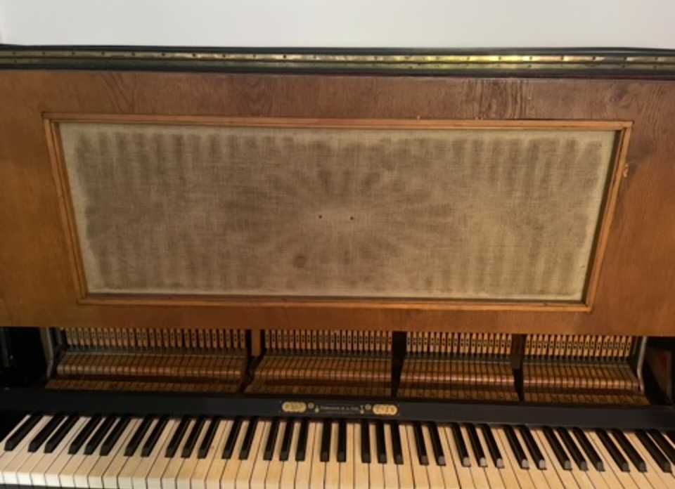 Pianino T.Betting