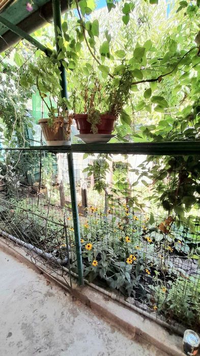 Сдам 1 комн.домик (квартира на земле) Киевск.р-н Львовская маг"Сантим"