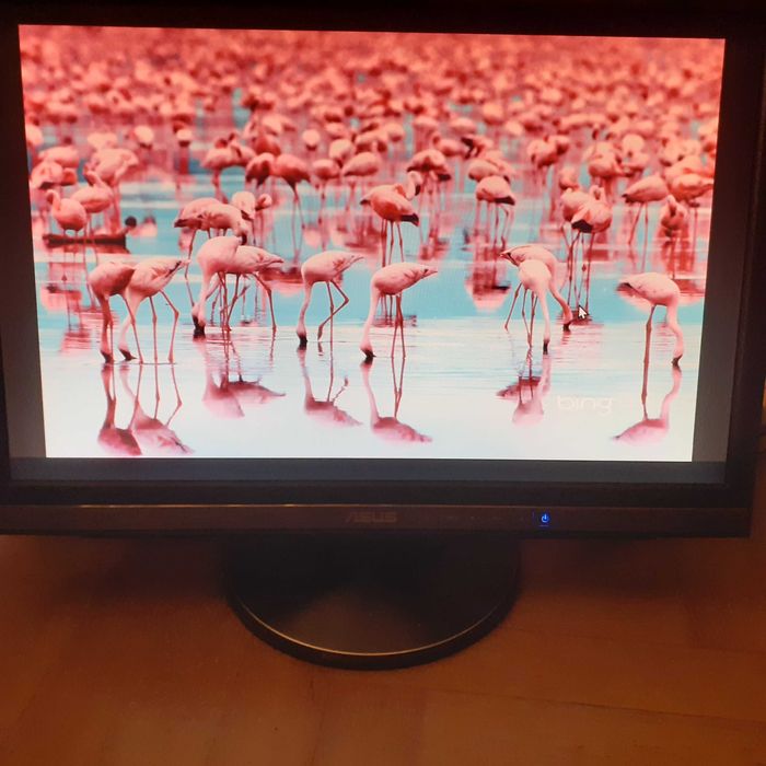 monitor 22" Asus MW221U