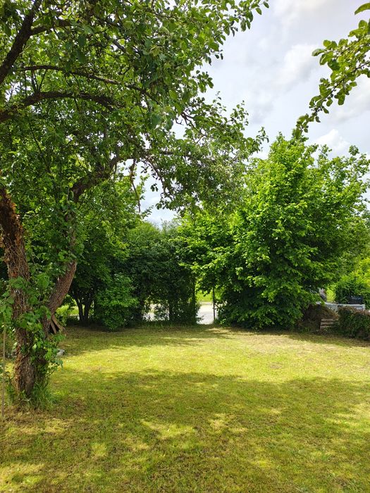 Działka ROD na Wójtowej Roli - Widok 5