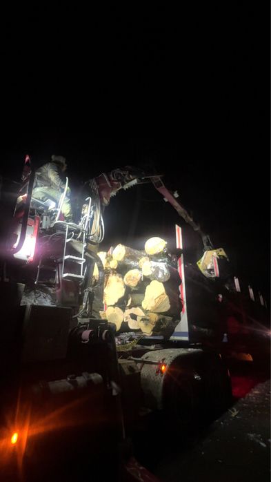 Transport drewna usługi hds dłużyca