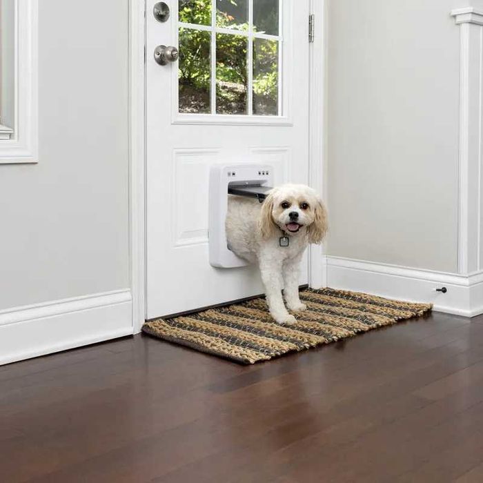 PetSafe® SmartDoor Connected drzwi dla zwierząt domowych M WYSYŁKA GRATIS