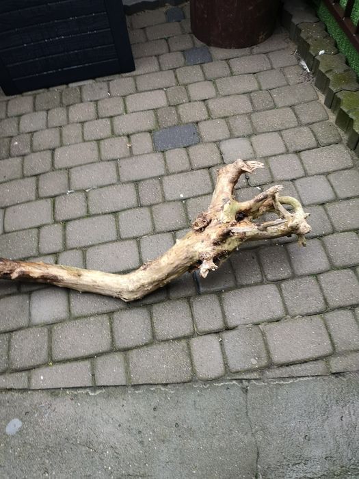 Korzeń do terrarium 104 cm