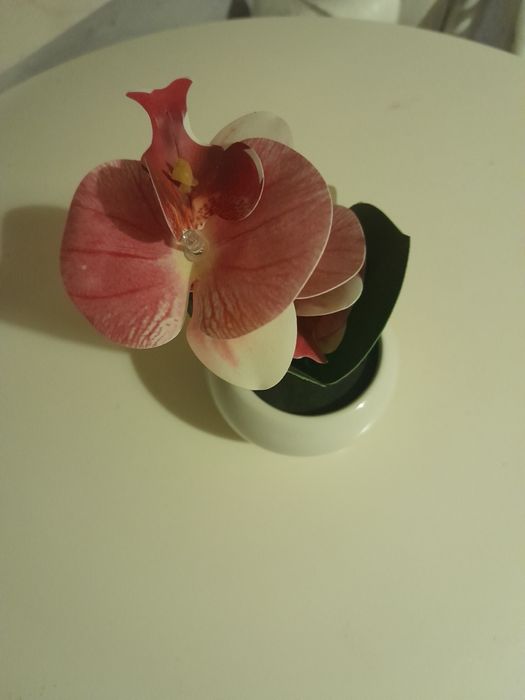 Sprzedam roślinę sztuczną