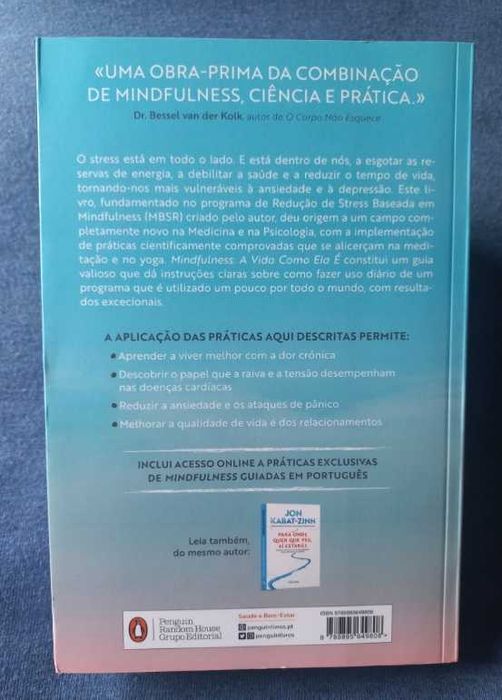 Mindfulness; A vida como ela é - Jon Kabat-Zinn