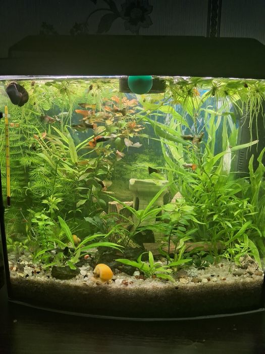 Аквариум 40 литров