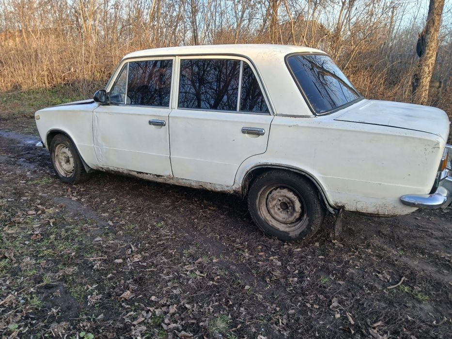 Продам заводиться йде трошки нада по у хаживать