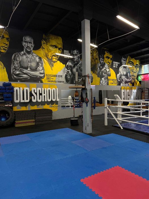 Sala treningowa na godziny/Boks/MMA/Kikboxing/Karate/Fitness 250m2