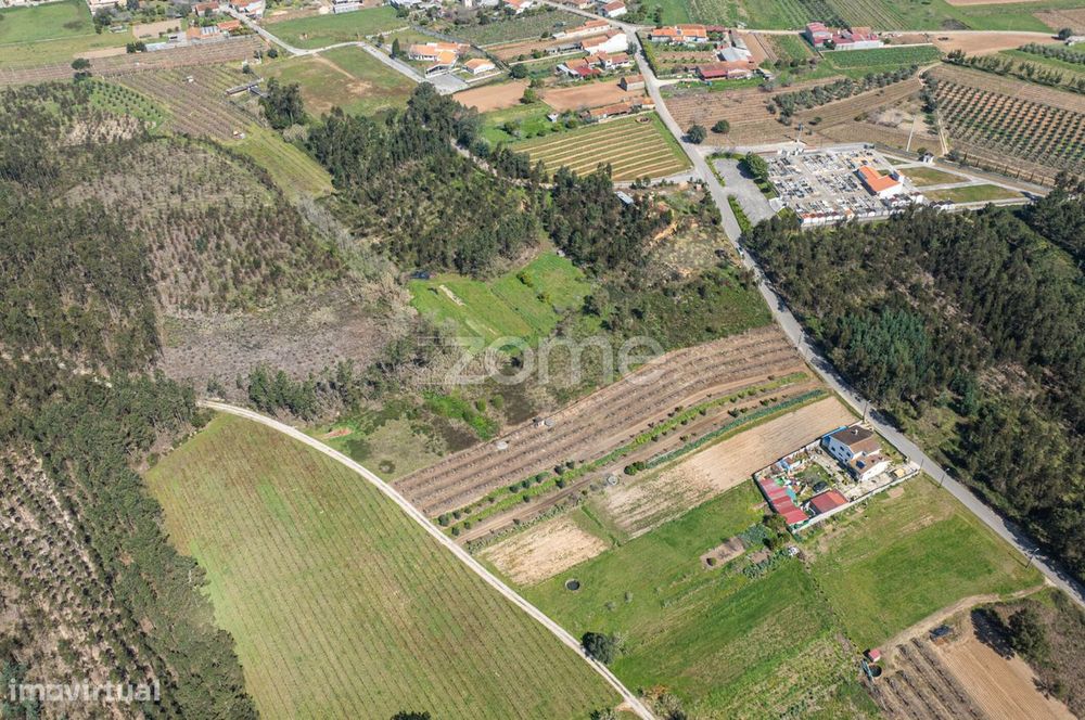 Terreno Urbanizável c/ 67m de frente em Anadia