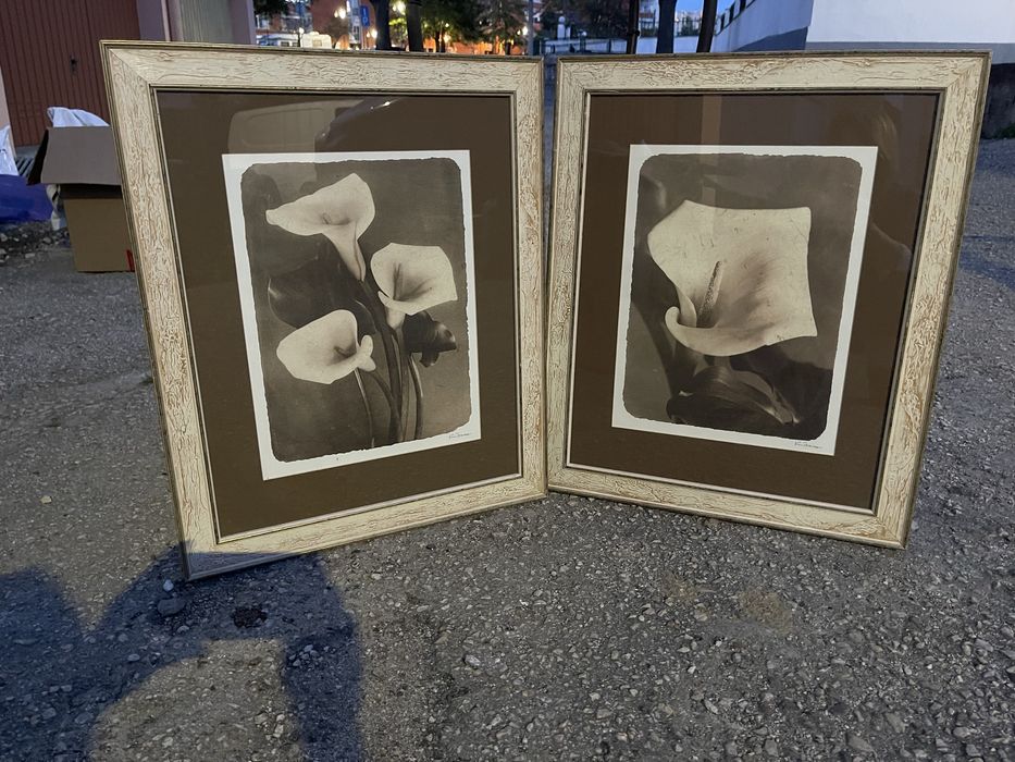 Quadros Flores - Jarros