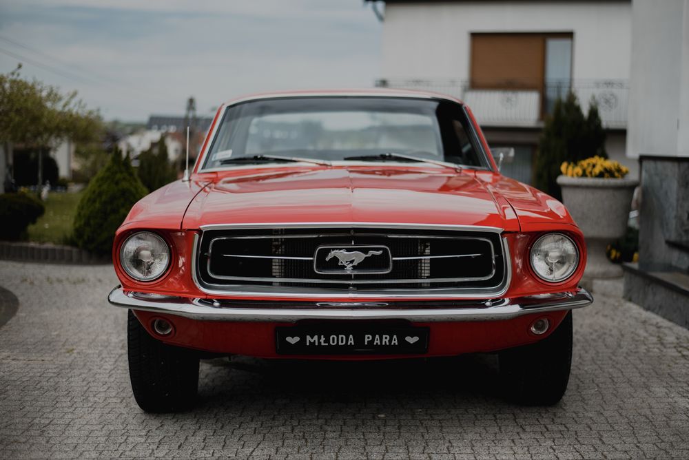 Samochod do wynajecia Ford Mustang 1968 auto na slub wypozyczenie