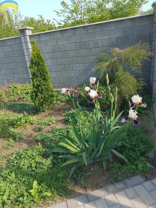 Дом в Фонтанке недалеко от трассы