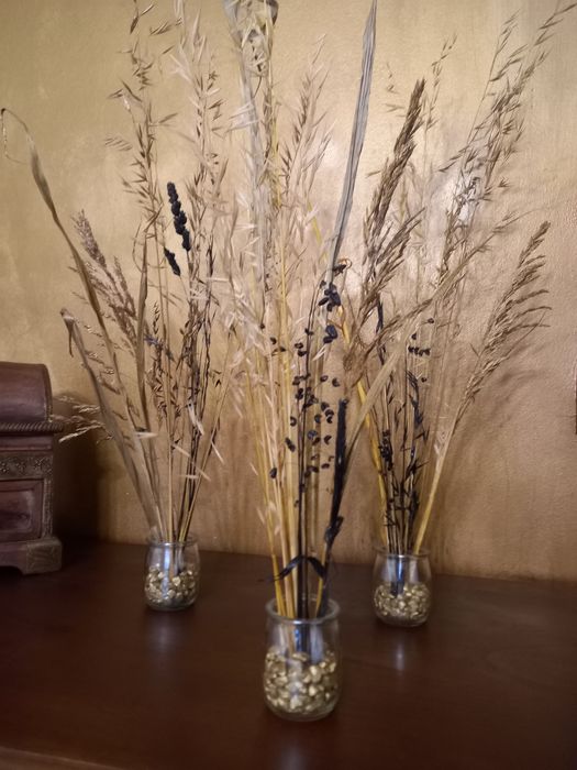 Flores naturais secas