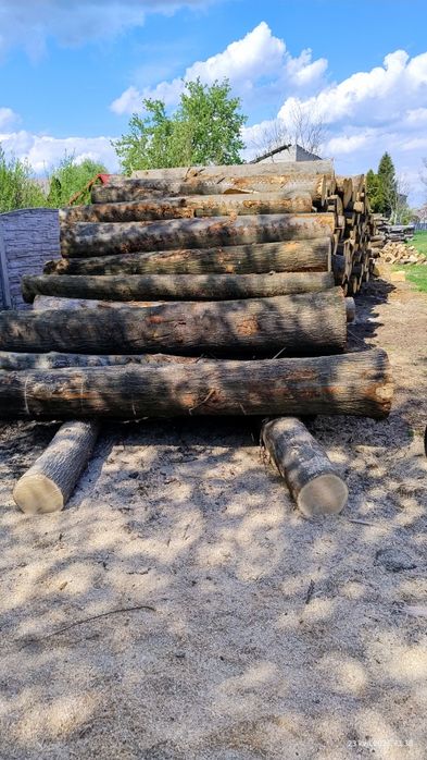 Drewno Dąb ,kominkowe, opałowe, Transport gratis ..